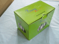 Lime color Boxes with our logo for Alternators & Starters